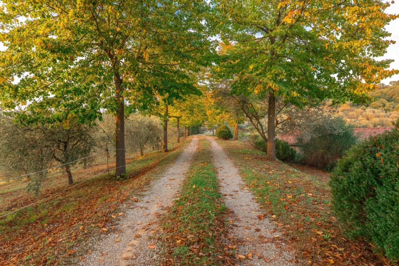 Villa Agriturismo Podere Toscano Città della Pieve Exterior foto